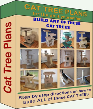 Cat Tree Plans